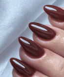 Cherry Mocha Nails